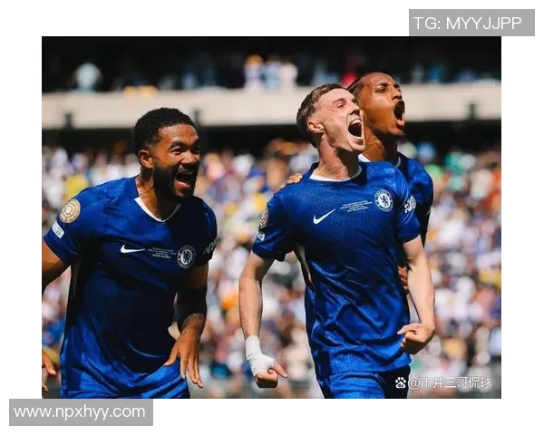 足球场上最狠球星的传奇之路与锋芒尽显的背后故事